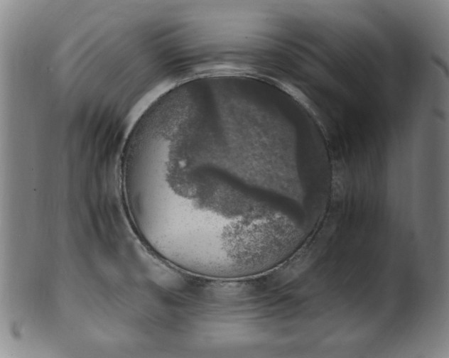 X0000100351474200806061103