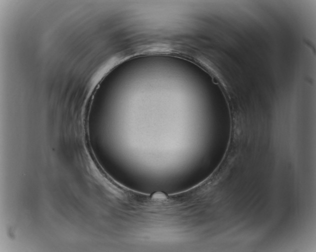 X0000100351475200806061103
