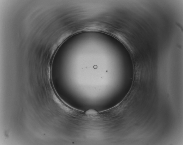 X0000100351476200806061103
