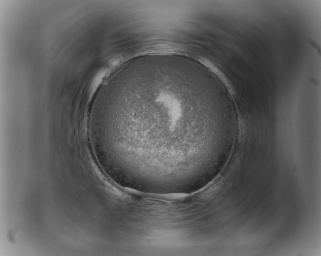 X0000100351477200806061103