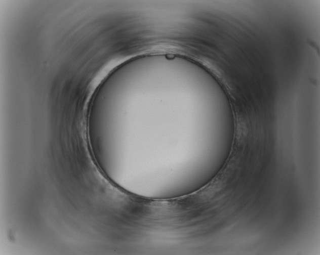 X0000100351478200806061103