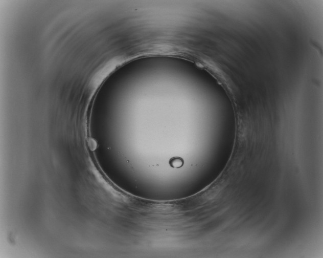 X0000100351479200806061103