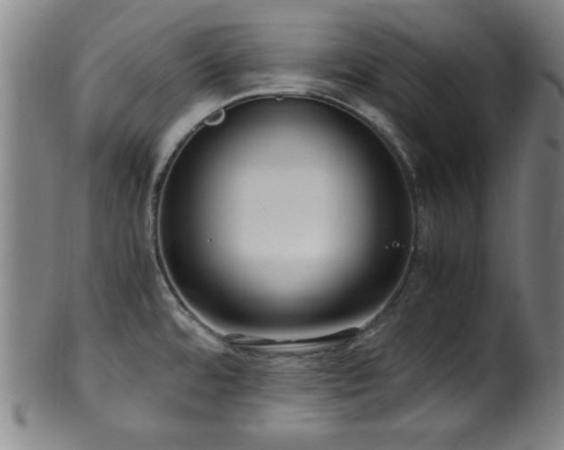 X0000100351480200806061103