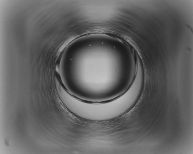 X0000100351481200806061103