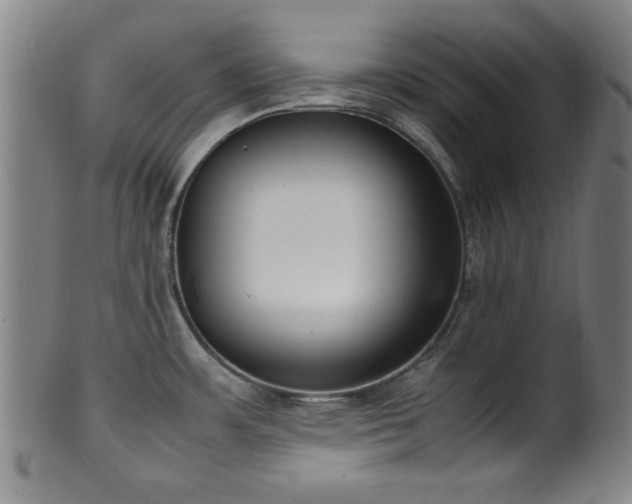 X0000100351483200806061103