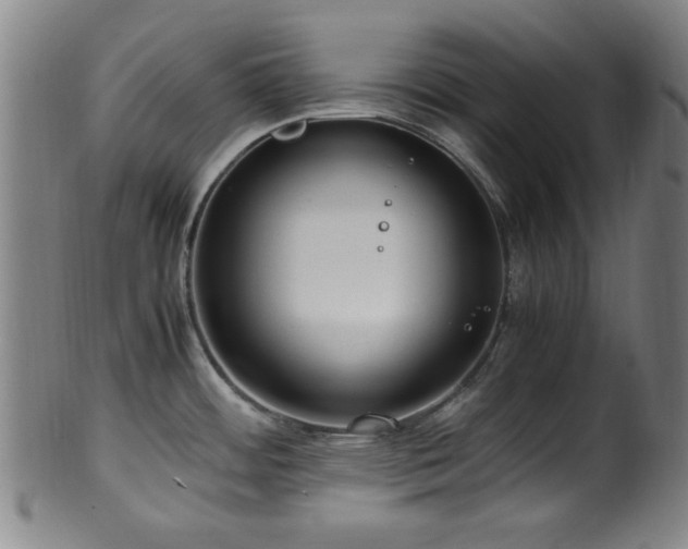 X0000100351484200806061103