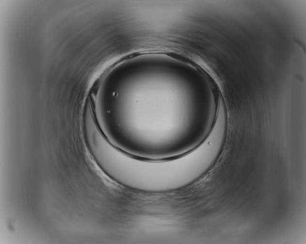 X0000100351485200806061103