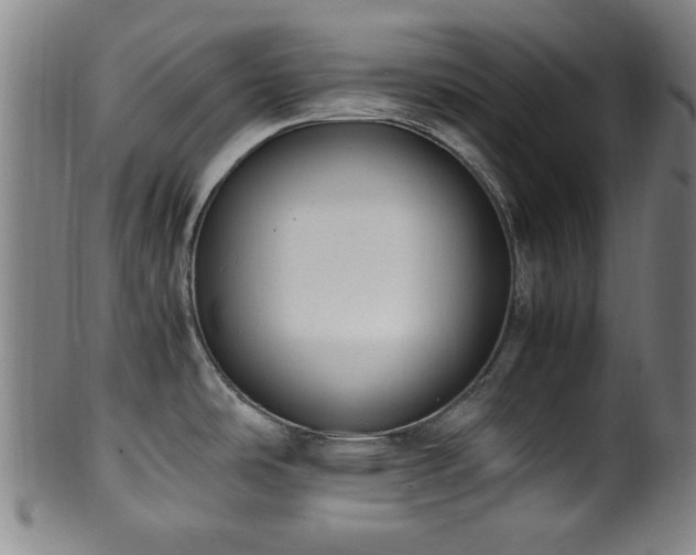 X0000100351486200806061103