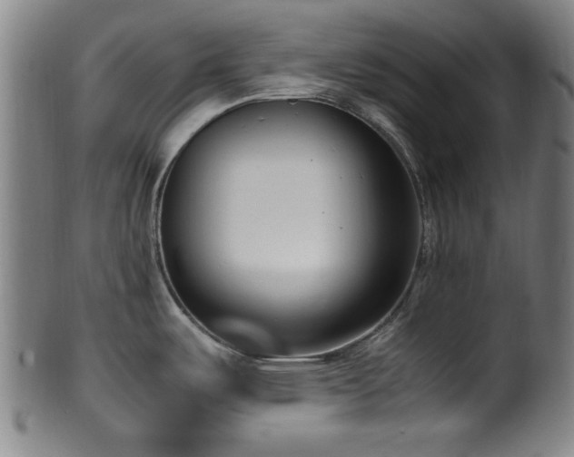 X0000100351487200806061103