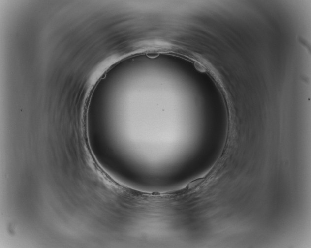 X0000100351488200806061103