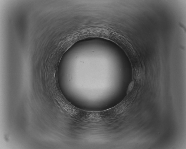 X0000100351489200806061102