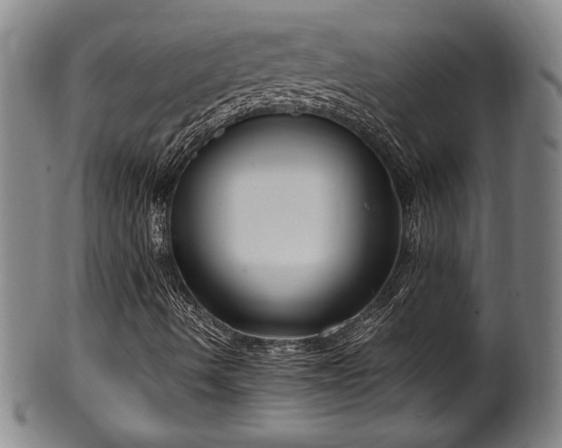 X0000100351490200806061102