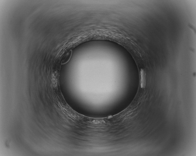 X0000100351491200806061102