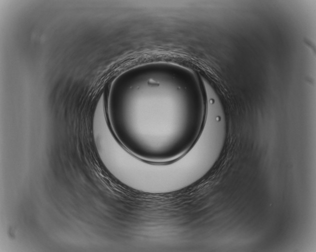 X0000100351492200806061102