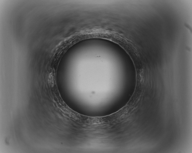 X0000100351493200806061102