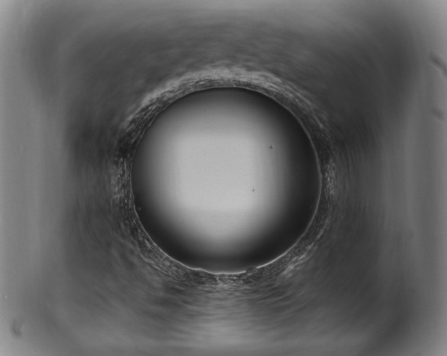 X0000100351494200806061102
