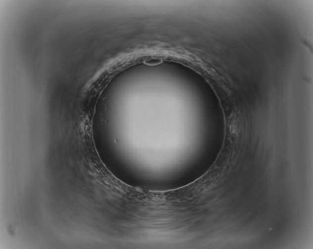 X0000100351495200806061102
