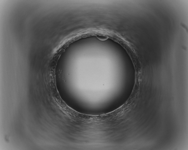 X0000100351496200806061102