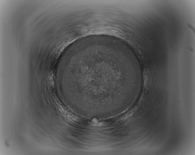 X0000100351497200806061102