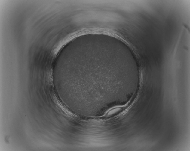 X0000100351498200806061102