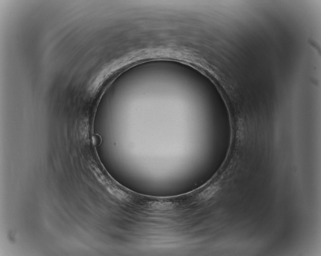 X0000100351499200806061102