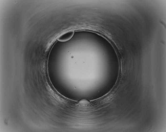 X0000100351500200806061102