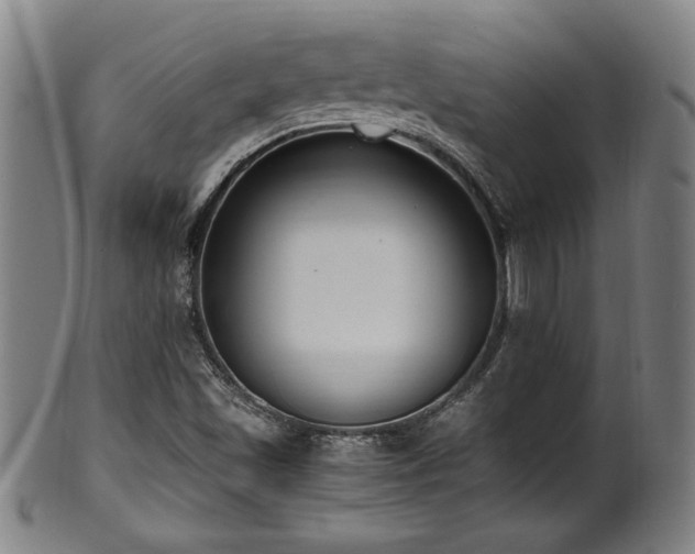 X0000100351501200806061102