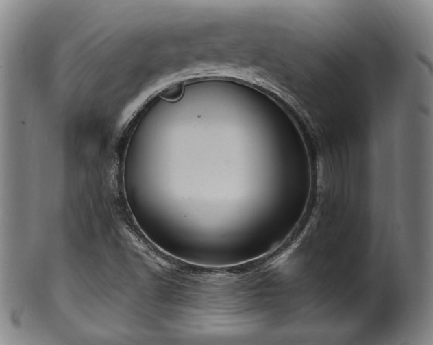 X0000100351502200806061102