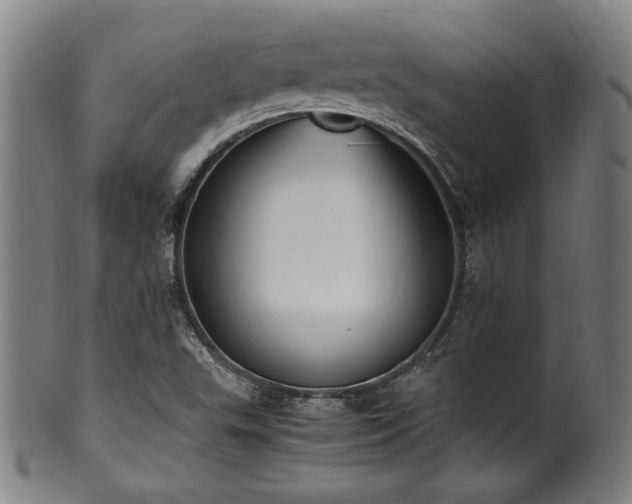 X0000100351503200806061102