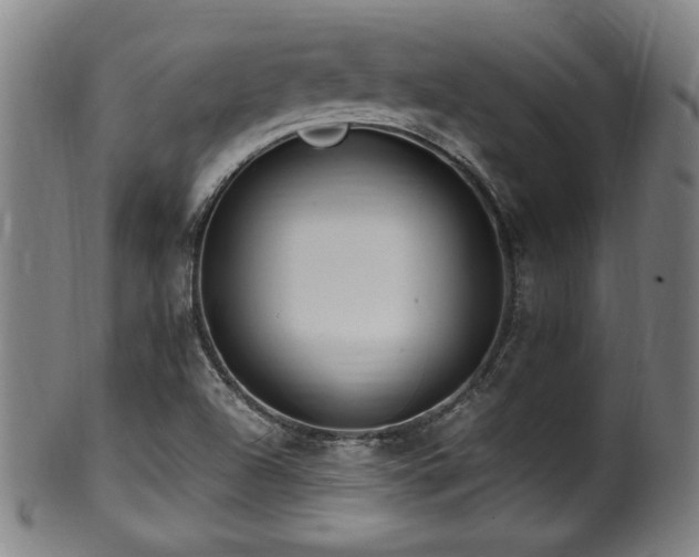 X0000100351504200806061102