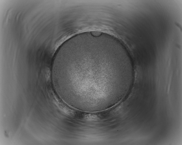 X0000100351505200806061102