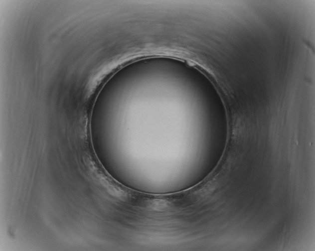 X0000100351507200806061102