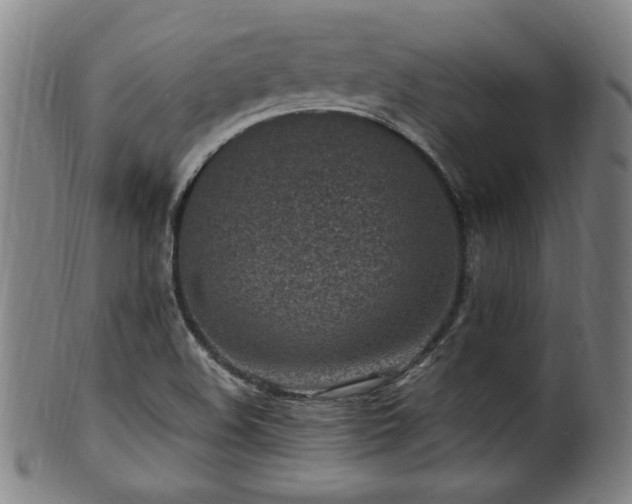 X0000100351508200806061102