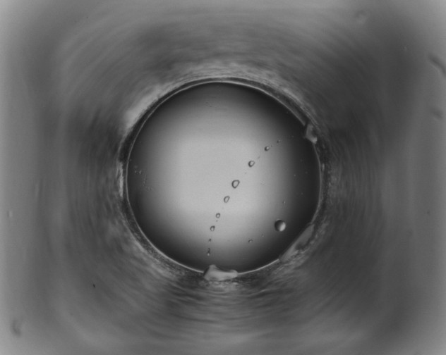 X0000100351509200806061102