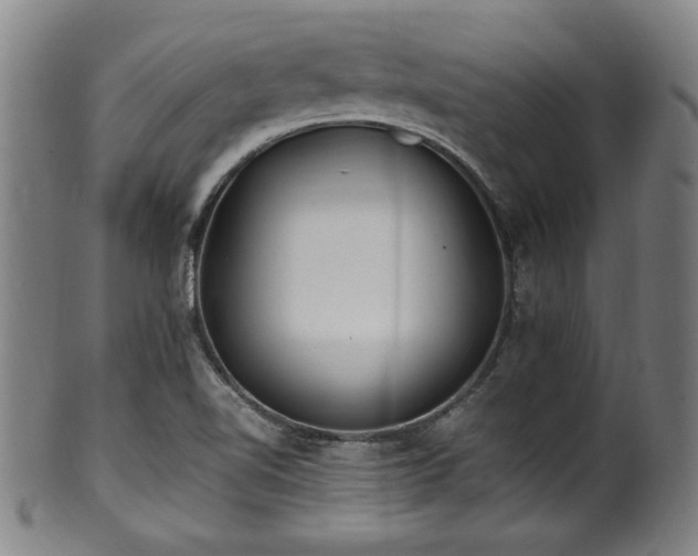 X0000100351510200806061102