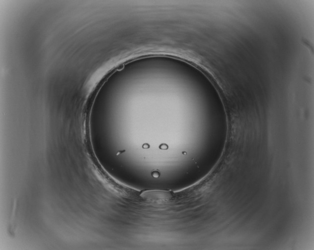X0000100351511200806061102
