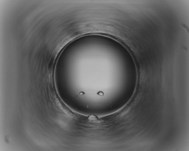 X0000100351513200806061102