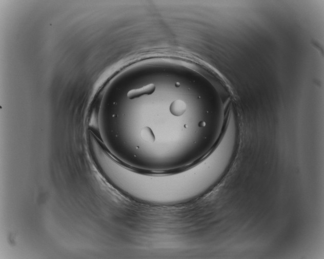 X0000100351514200806061102