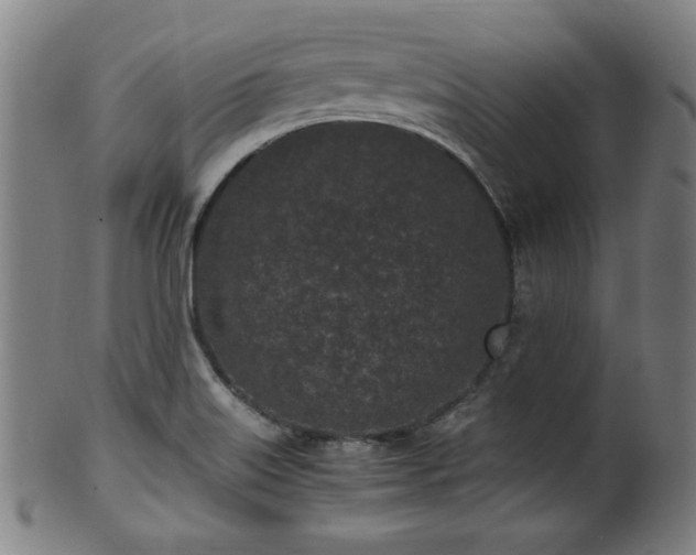 X0000100351515200806061102