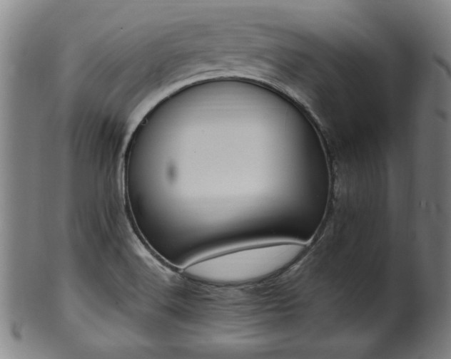 X0000100351516200806061102