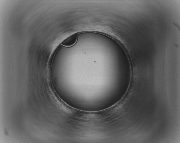 X0000100351517200806061102