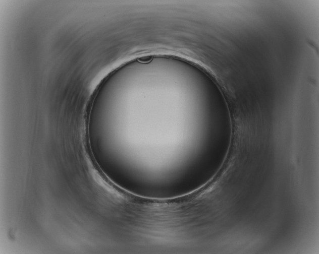X0000100351518200806061102