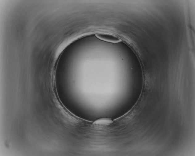 X0000100351520200806061102