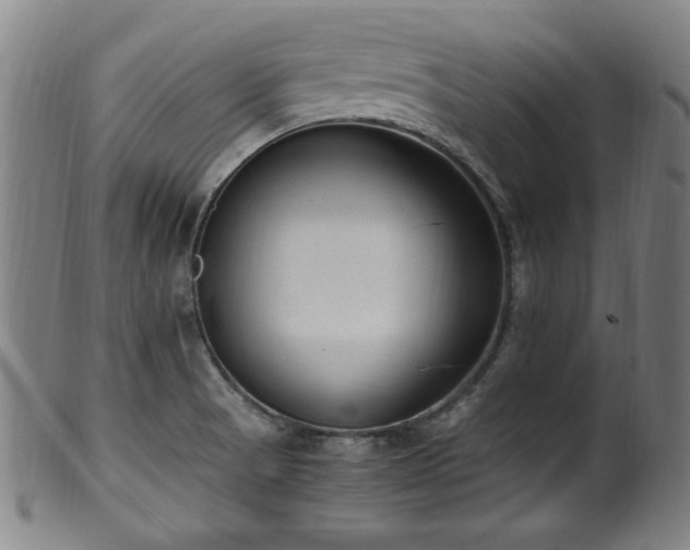 X0000100351521200806061102