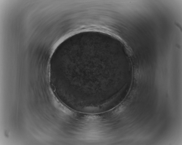 X0000100351522200806061102