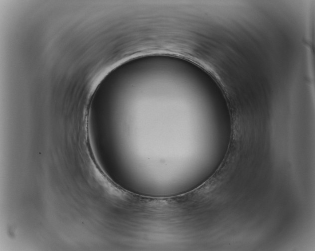 X0000100351524200806061102