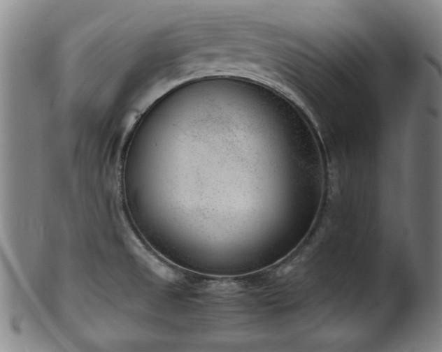 X0000100351525200806061102