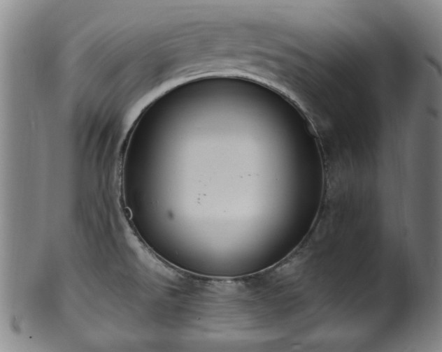 X0000100351526200806061102