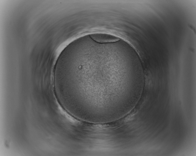 X0000100351527200806061102