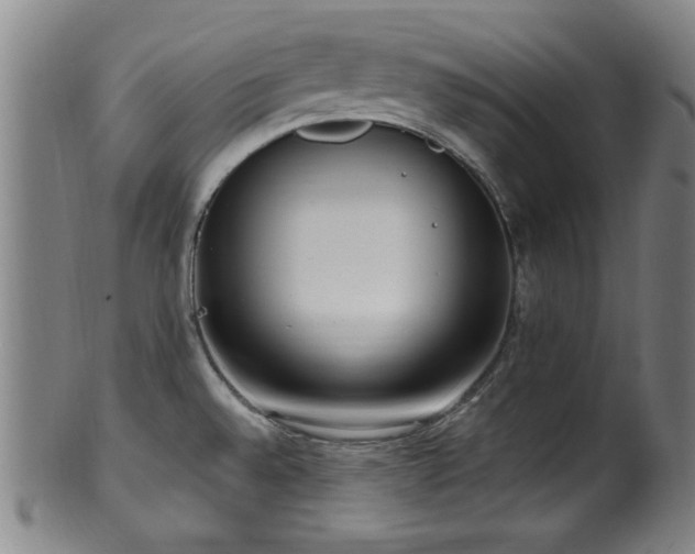 X0000100351528200806061102
